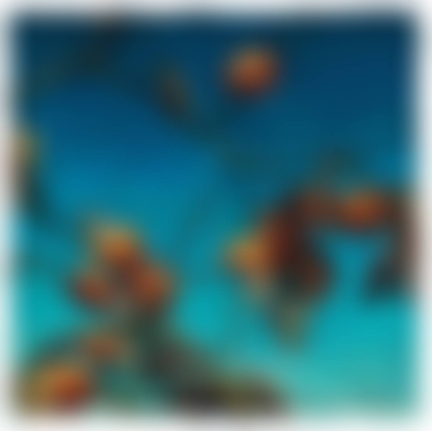 Persimmons (preview)