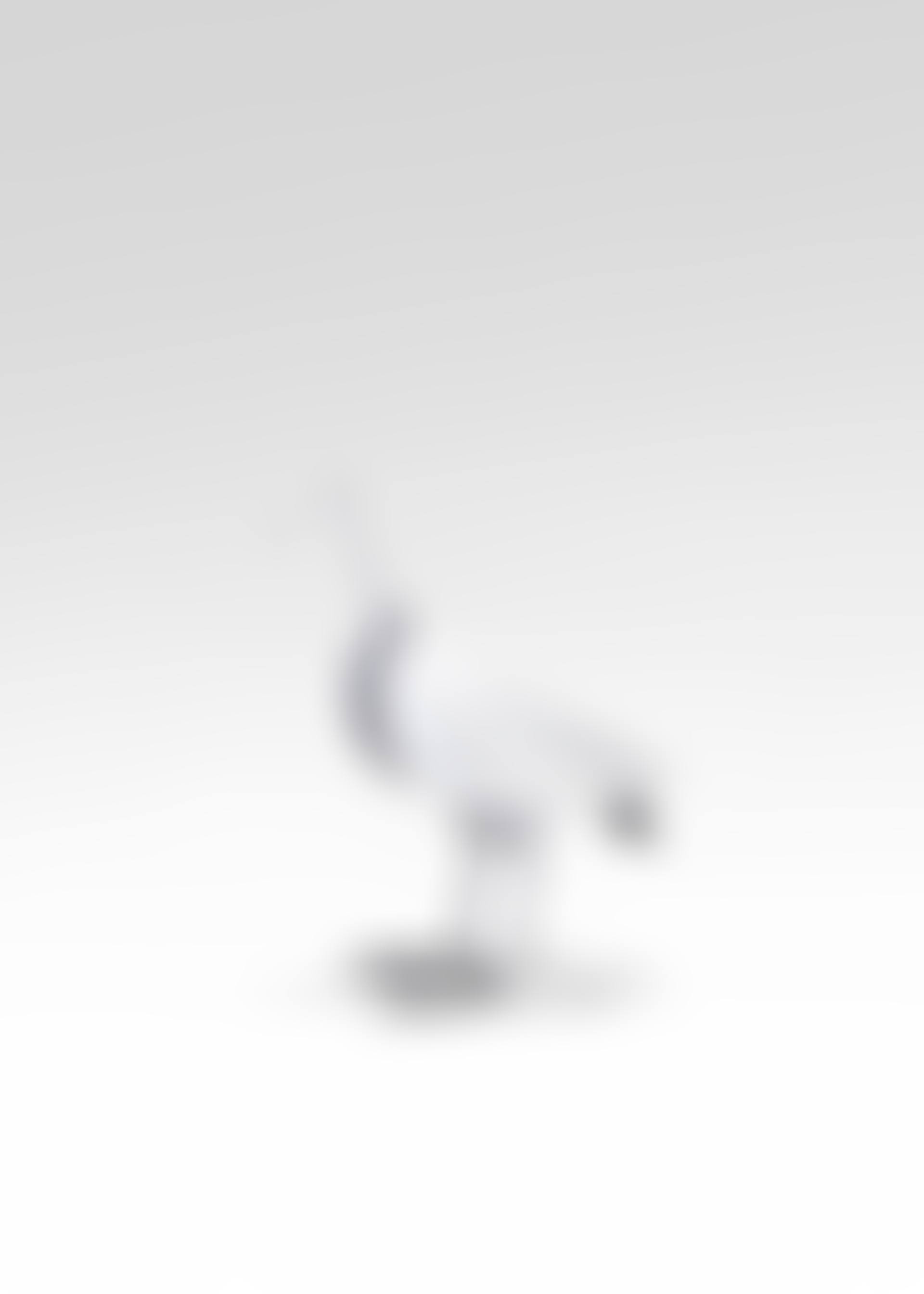 Oiseau d"argent chair, prototype (preview)