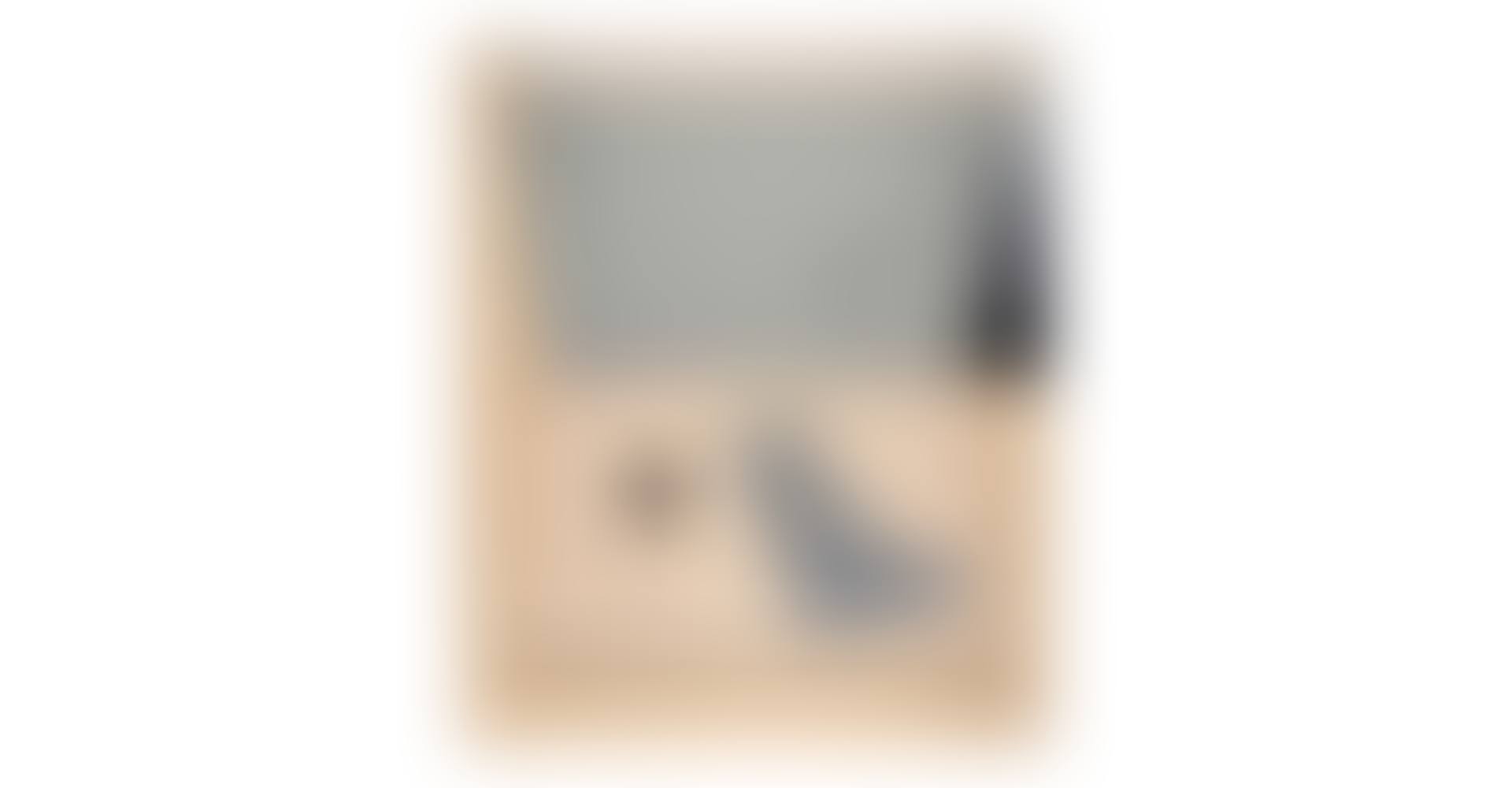 Hinged Canvas, from Fragment-According to What Series (Field 139, Gemini 288) (preview)