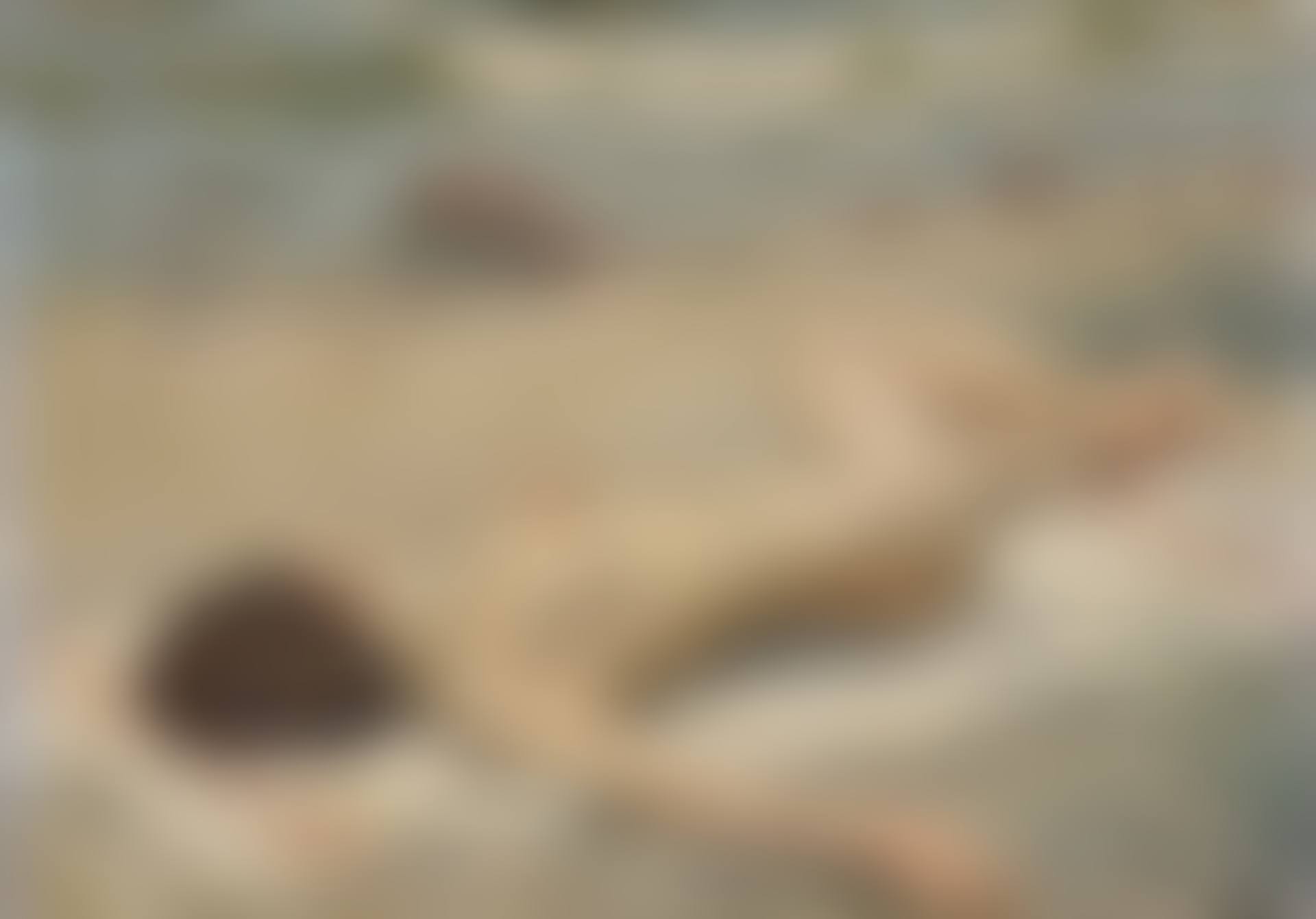 Sunbathing on the beach (preview)