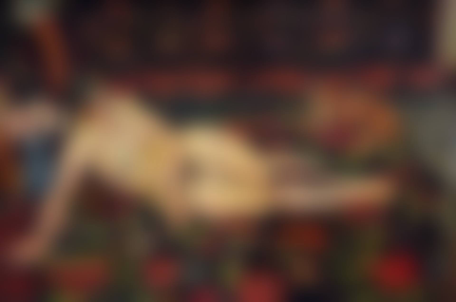Nu au chat couché sur une draperie (preview)