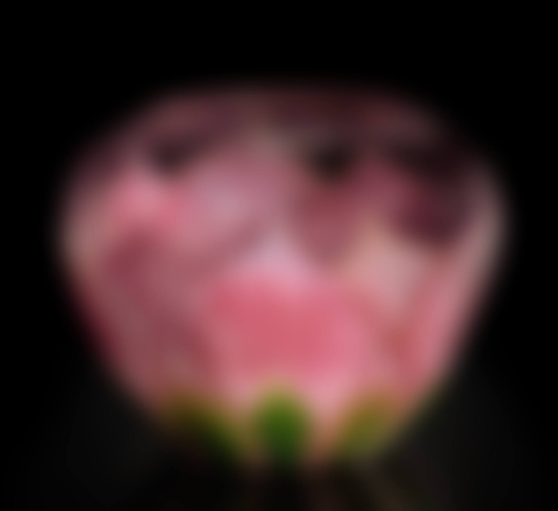 CARVED CAMEO VASE (preview)