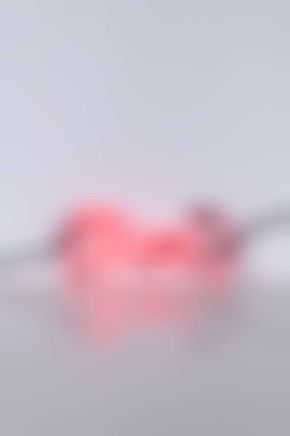 Wittgenstein"s Color (Red) (preview)
