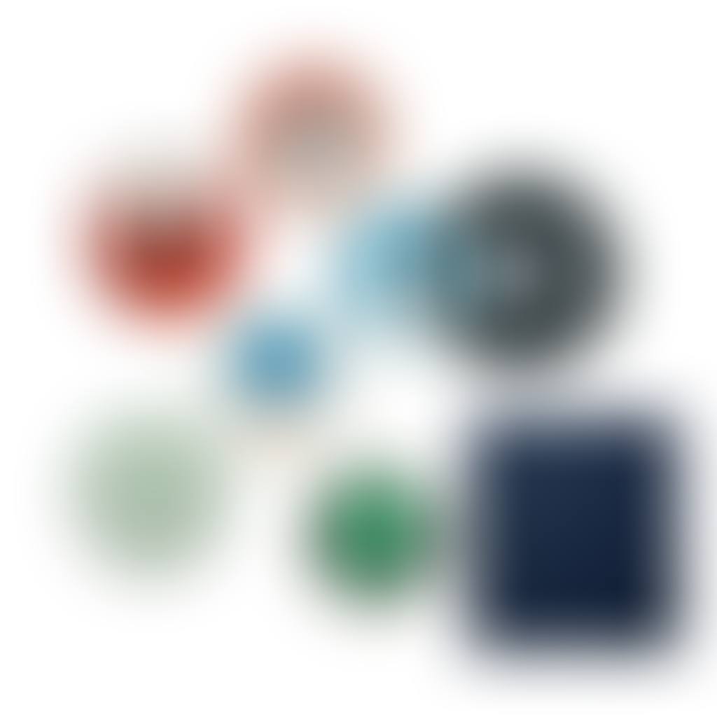 Rotoreliefs (Disques Optiques) (preview)