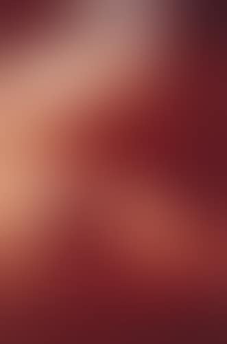 SHERMAN, CINDY< (preview)