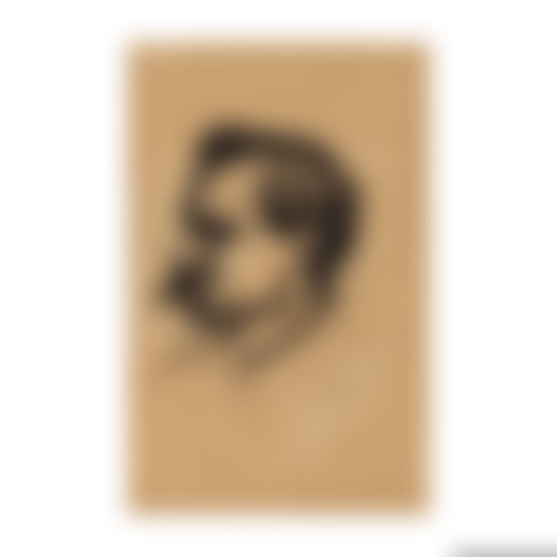 Portrait de Manel Pallarès ; Etude de têtes et main (œuvre recto-verso) (preview)