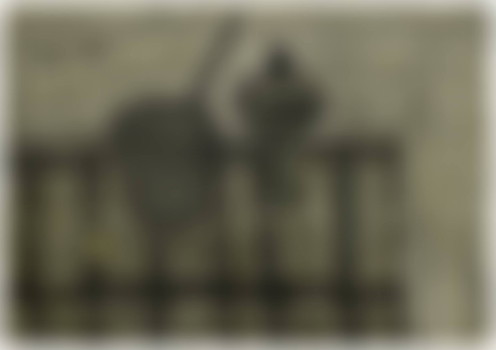Casserole et lampe à pétrole (preview)