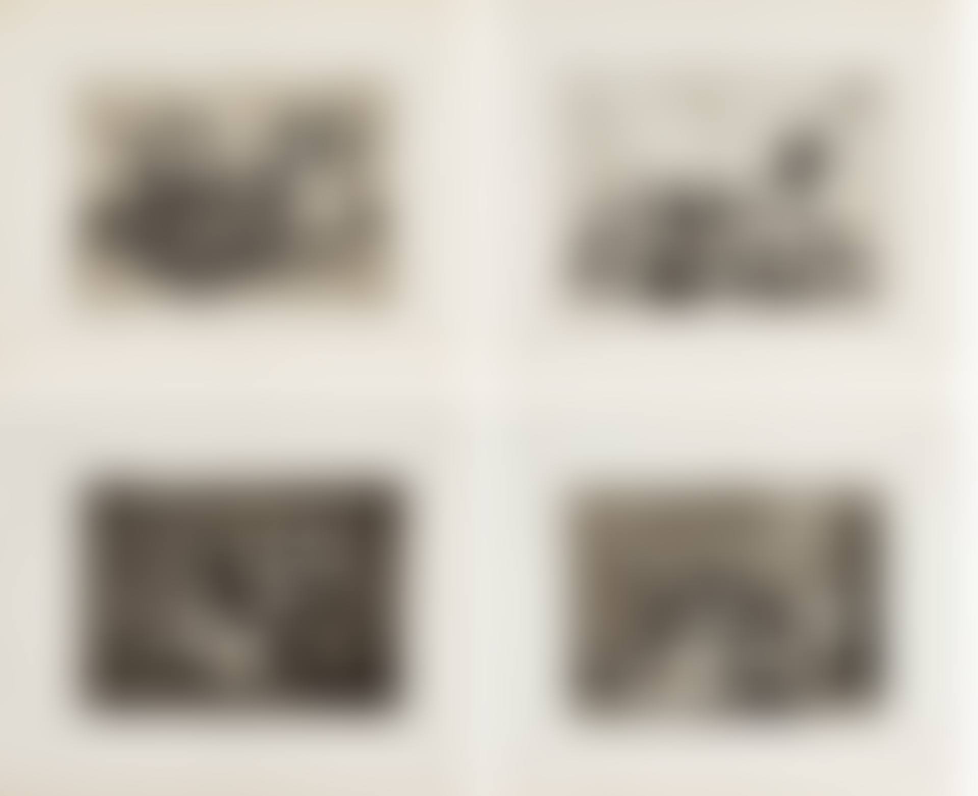 Los Desastres de la Guerra (Delteil 120-199; Harris 121-200) (preview)