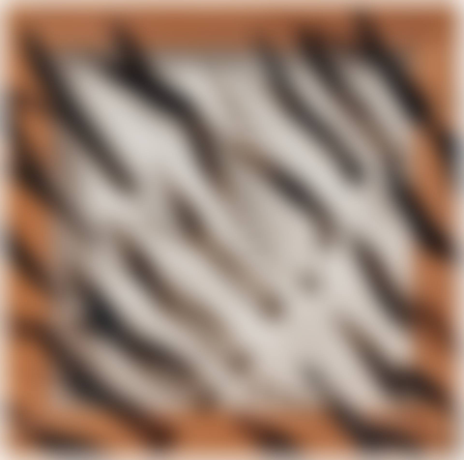 Segni neri (preview)