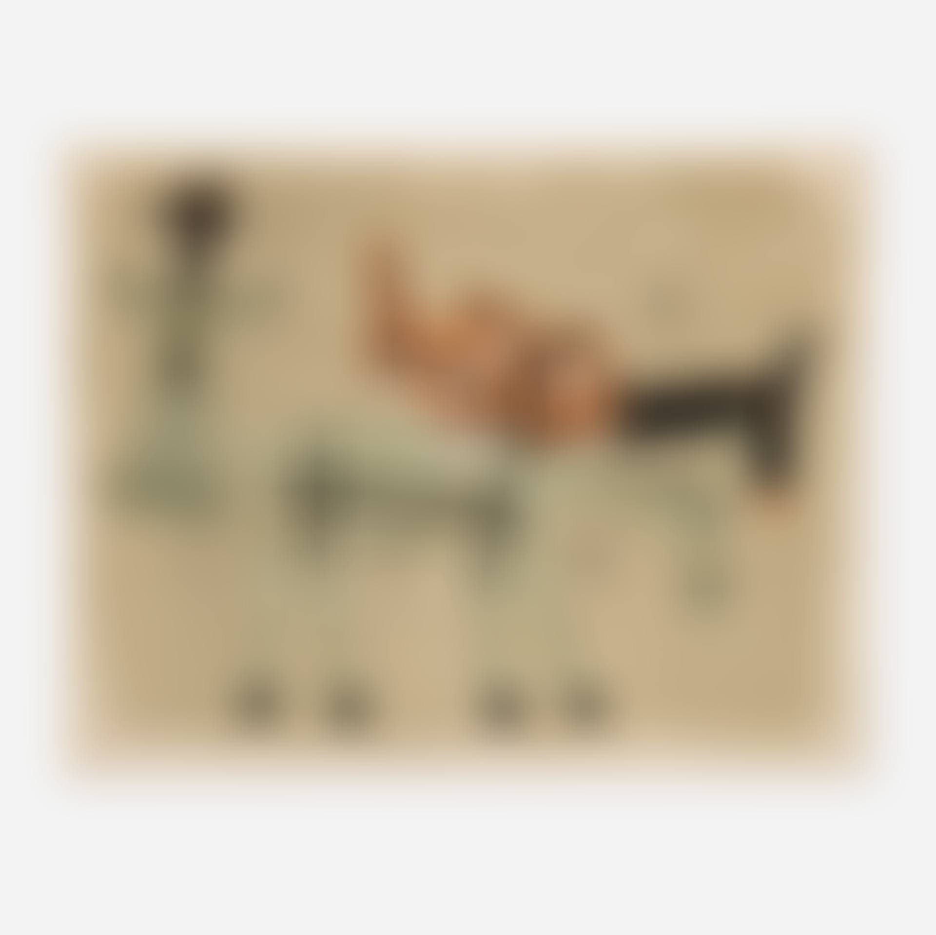 Untitled (Woman with Two Donkeys) (preview)