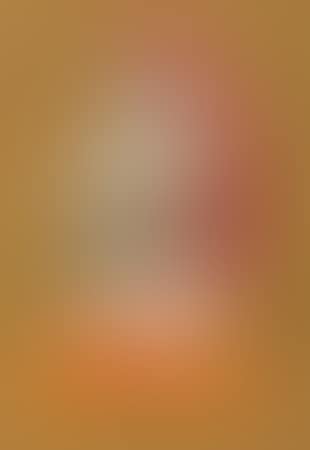 Les Portraits Imaginaires (preview)