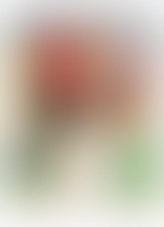 Olympic Robe (preview)