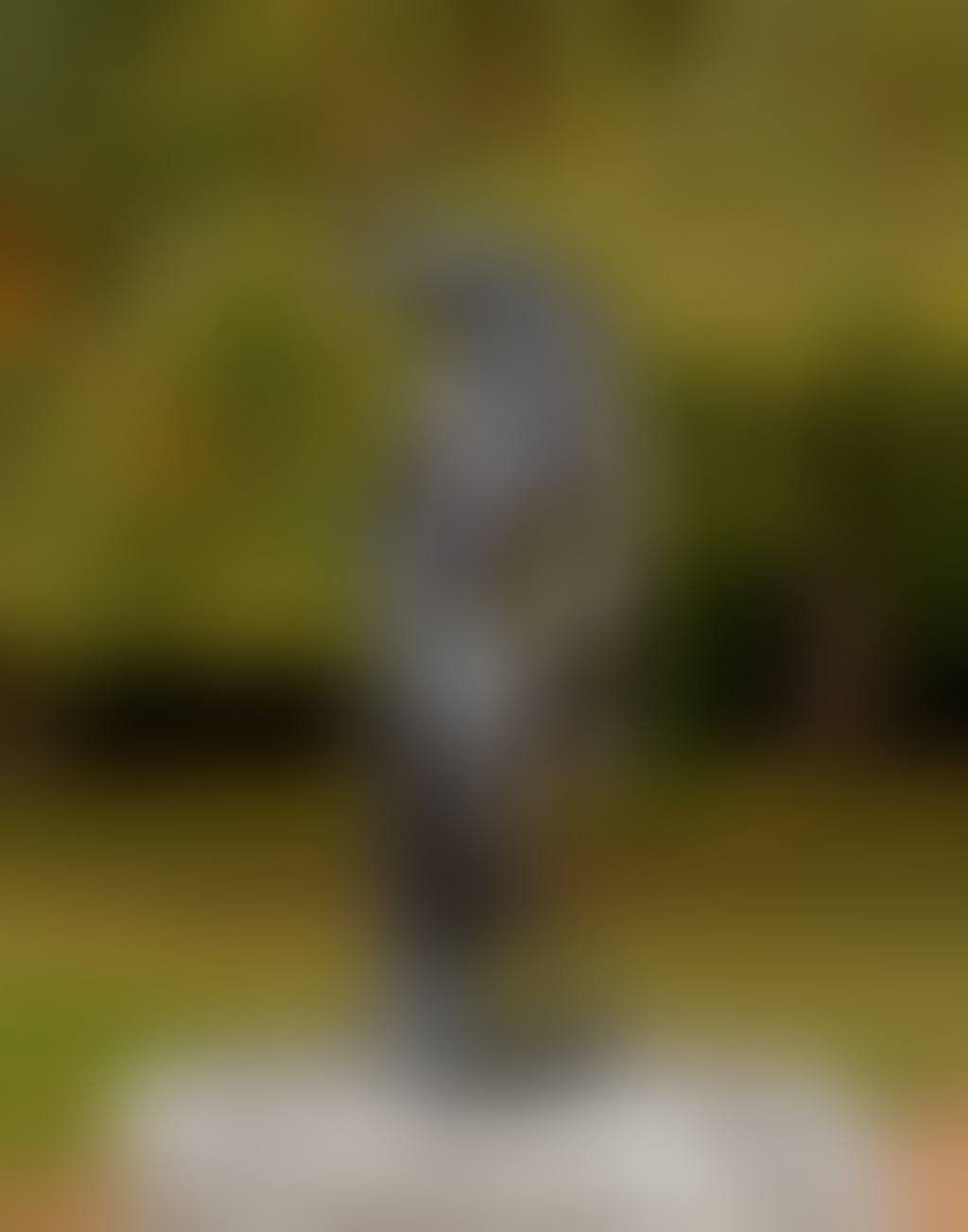 L"homme oiseau (preview)