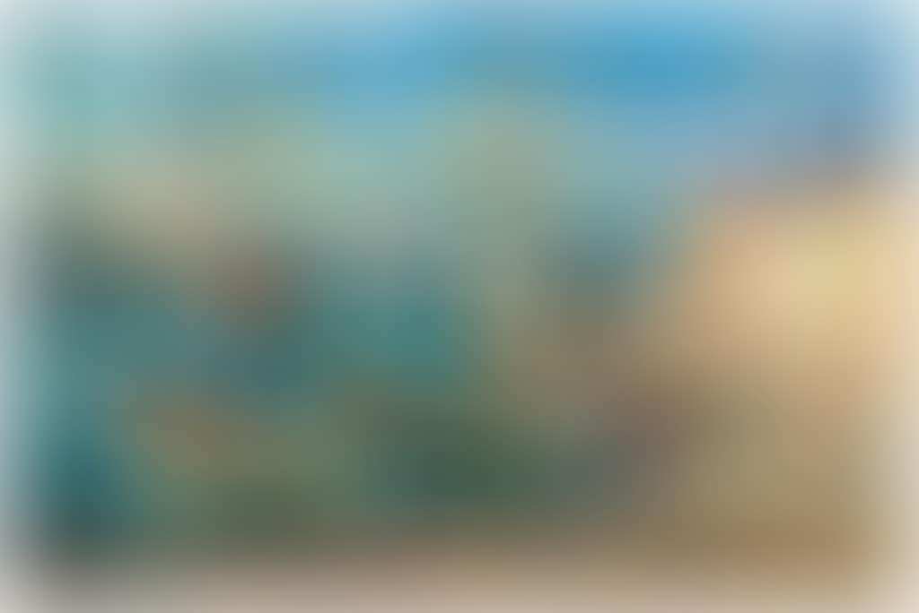 Tartanes à quai à Saint-Tropez et deux promeneuses (preview)