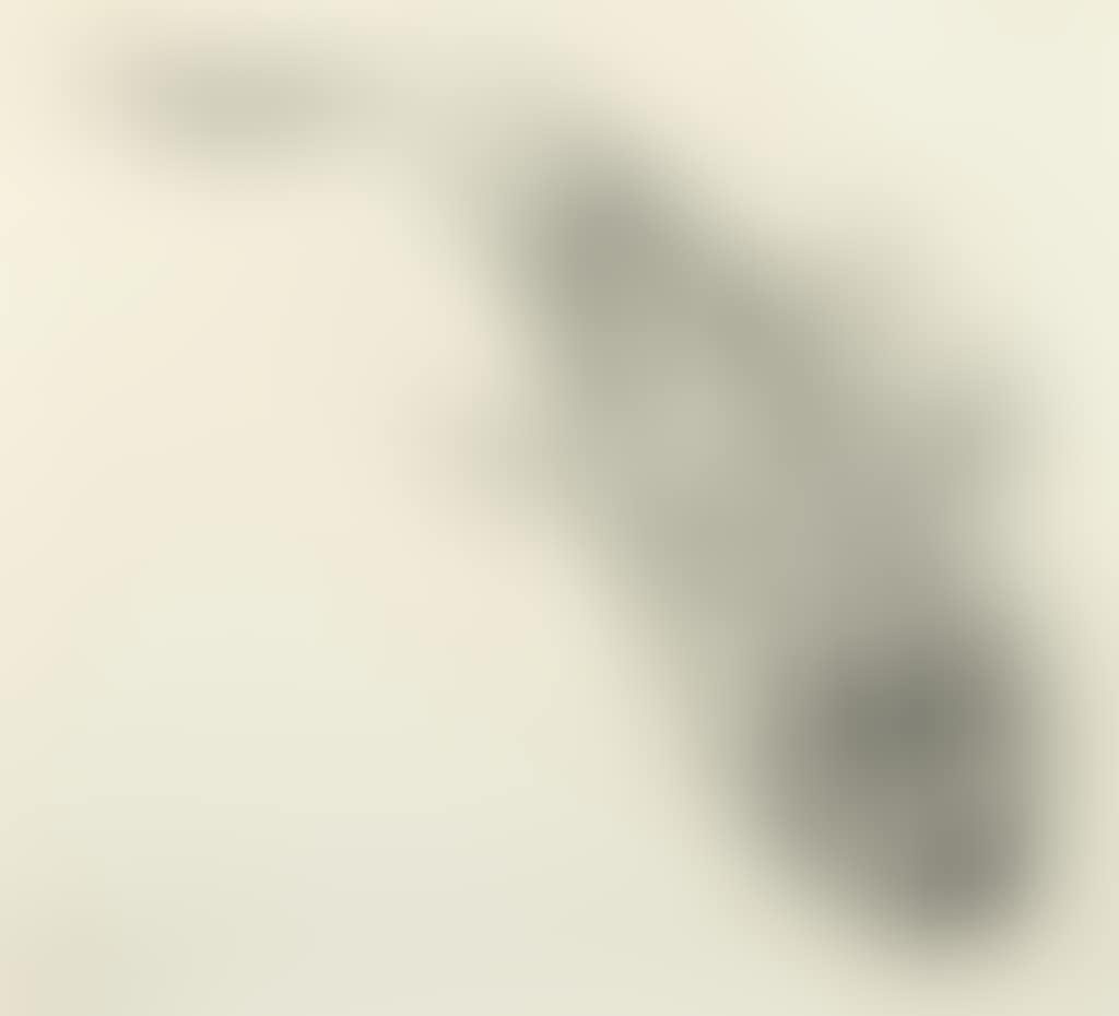 Rascasse (preview)