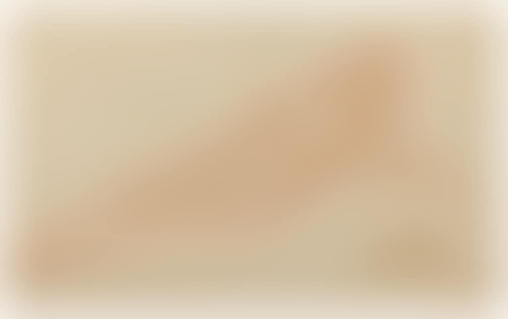 Nu allongé (preview)