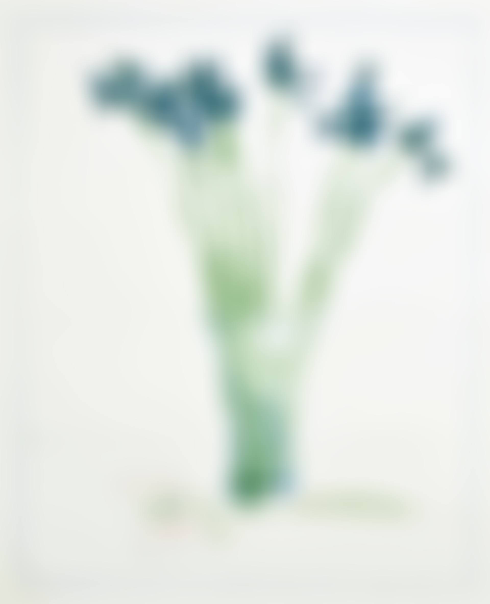 Still Life with Book (preview)