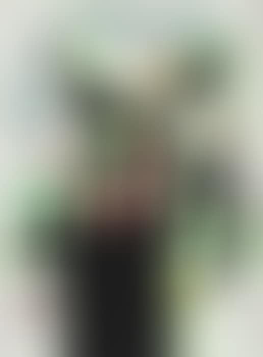 La Harpie (preview)