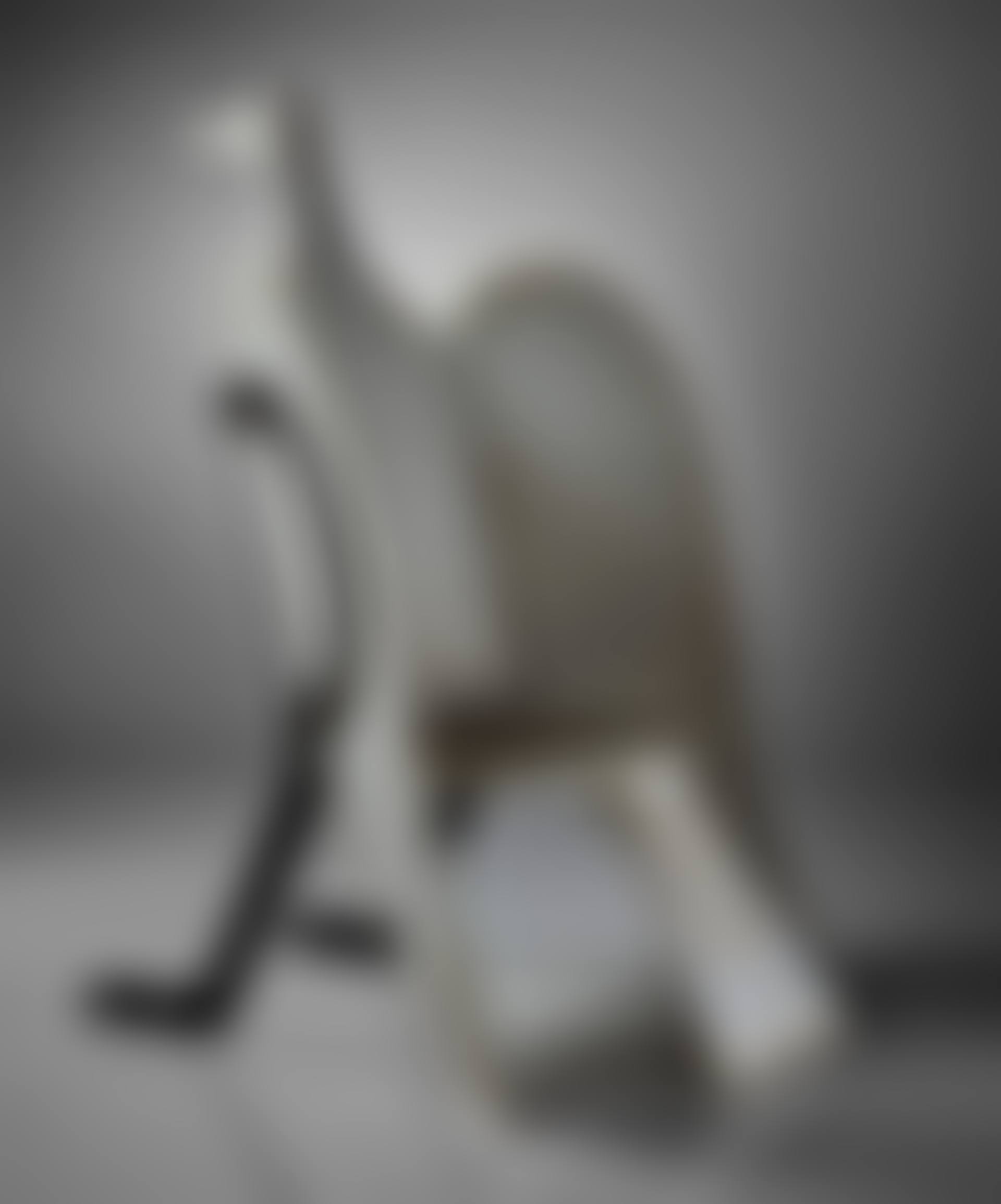 "Grand Oiseaux de Marbre" Chair (preview)