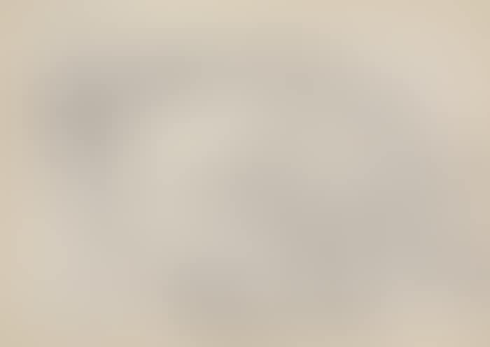 Landscape (preview)