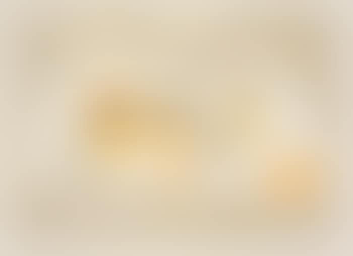 Motif Dalmate * Lumière de Dalmatie (preview)