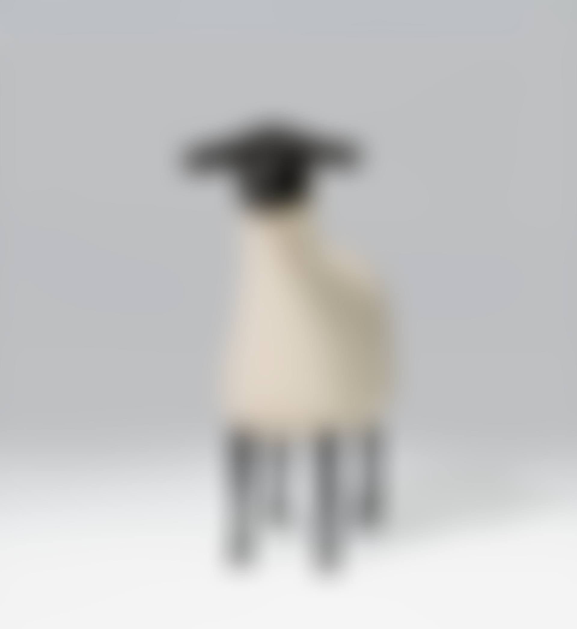 "Mouton Transhumant" (preview)