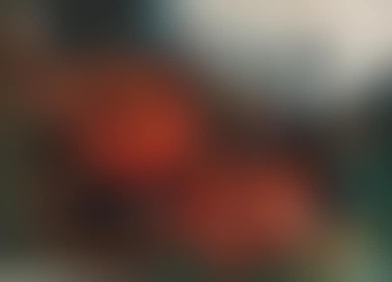 Composition (preview)