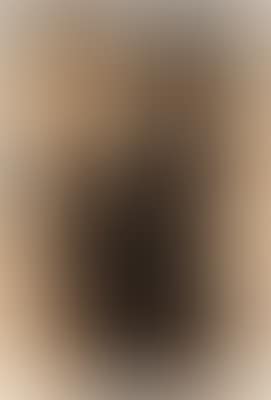 Untitled (preview)