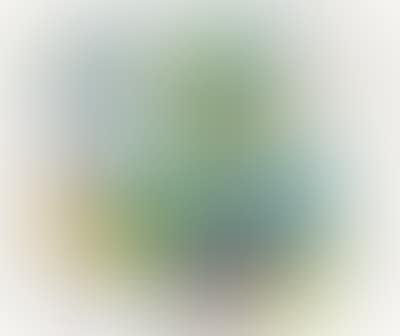Untitled (preview)