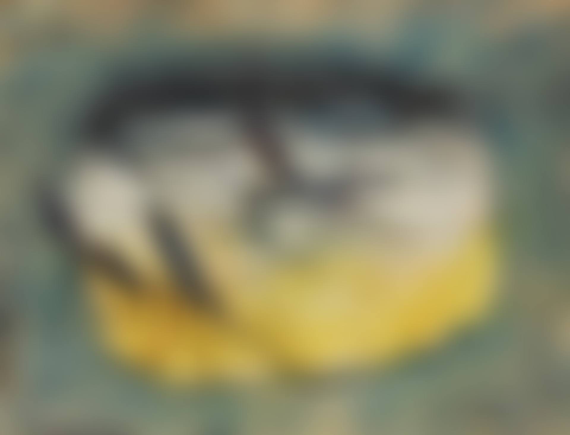 Tranches d" oranges (preview)