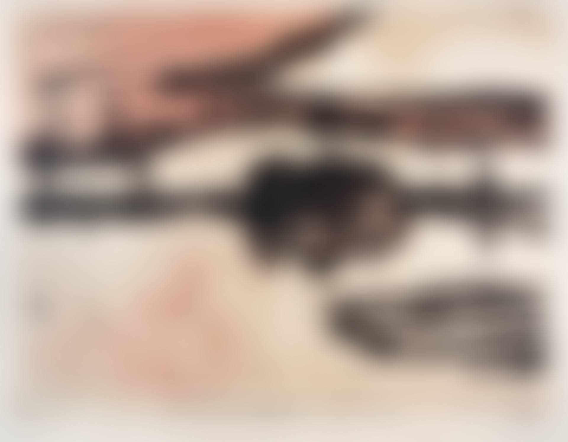 Herbstlandschaft (Überschwemmung) (preview)