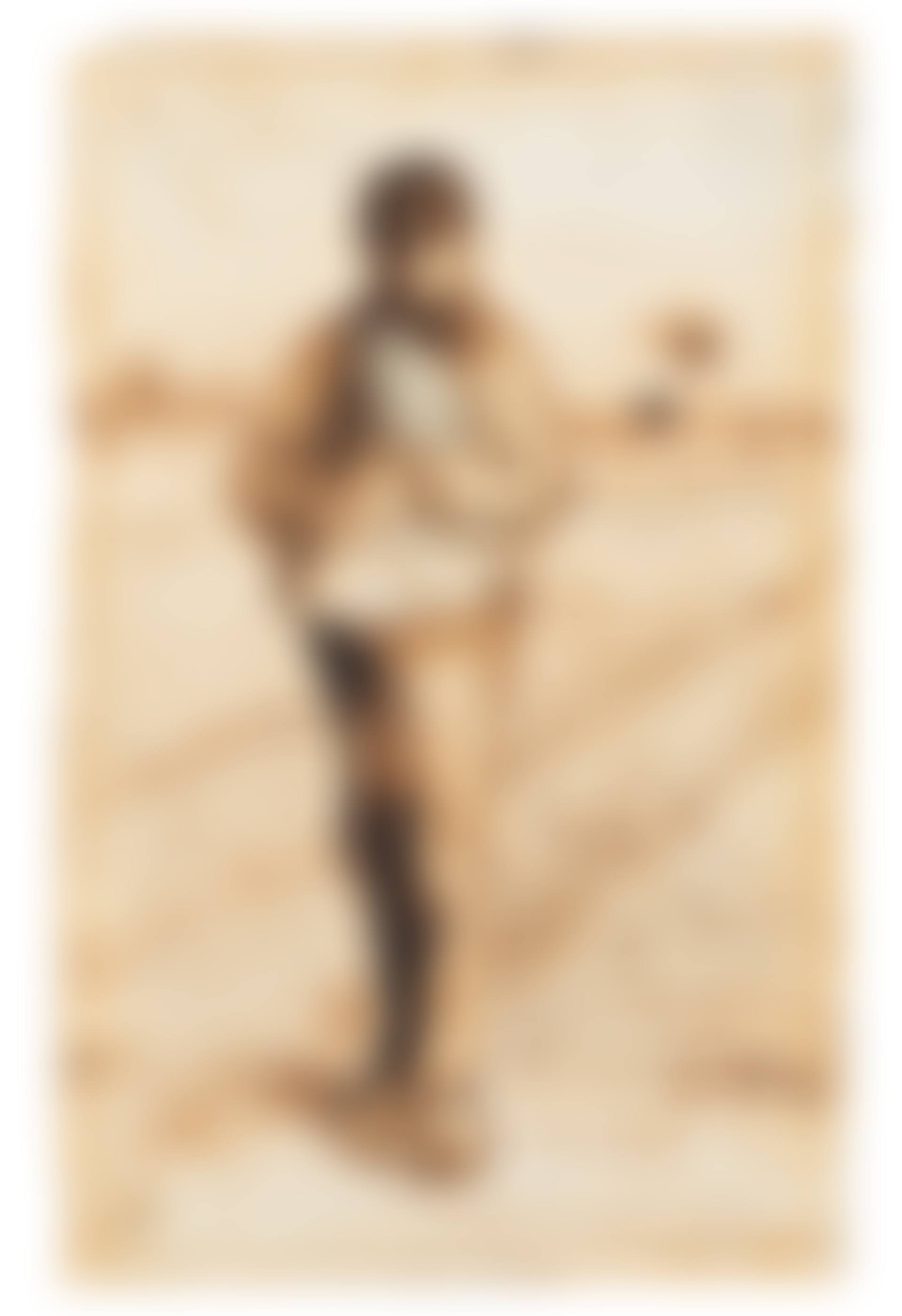 Der Sämann (Zaayer) (preview)