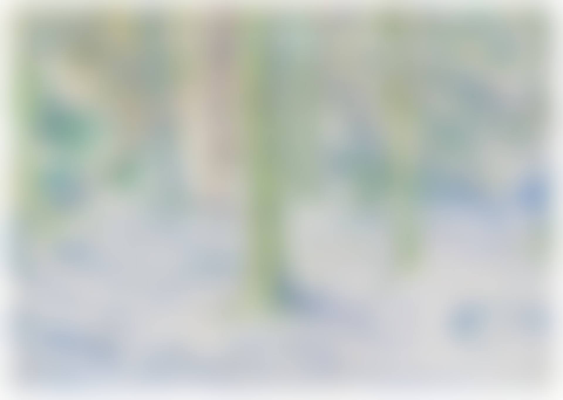 Verschneiter Wald (preview)