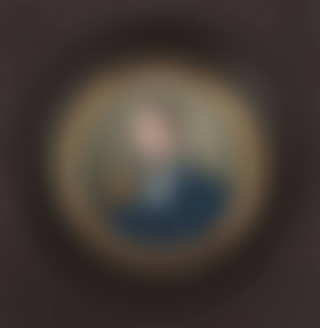 Miniature portrait of willem ernst thooft (preview)