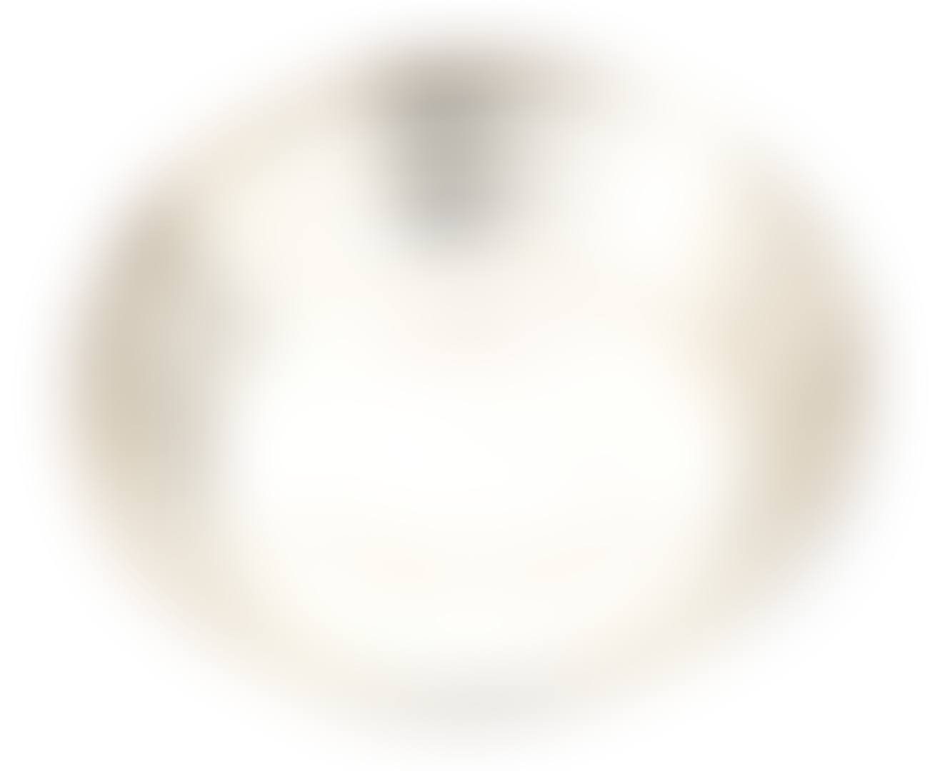 A .925 silver bowl (preview)