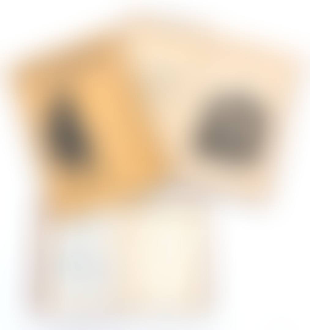 Camera Obscura (preview)