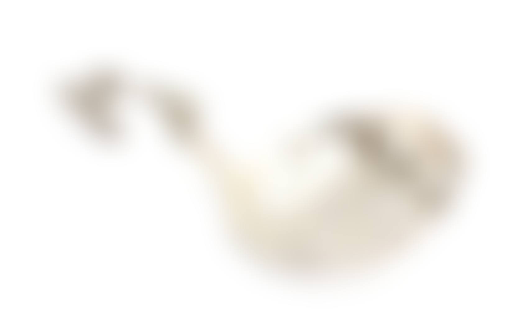 A Dutch silver sugar spoon (preview)