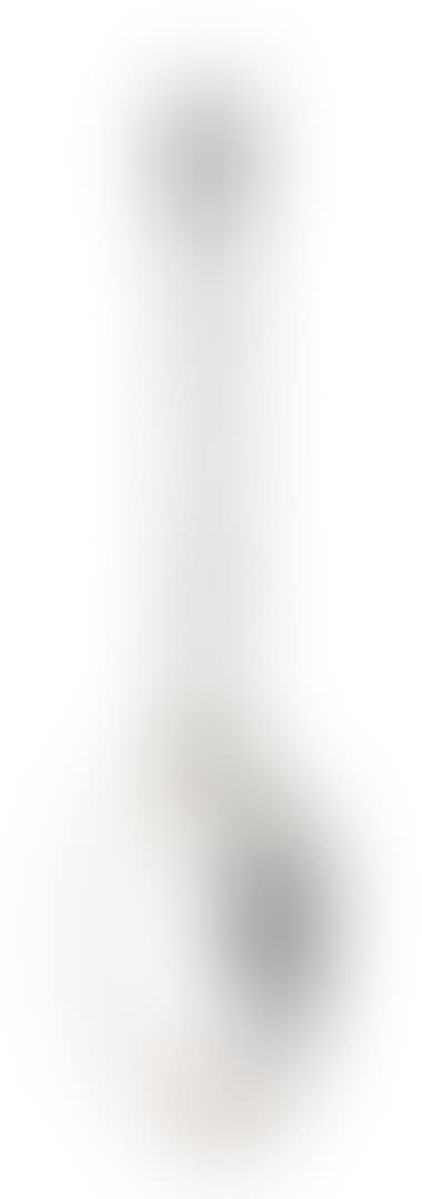 A Dutch silver commemorative spoon (preview)