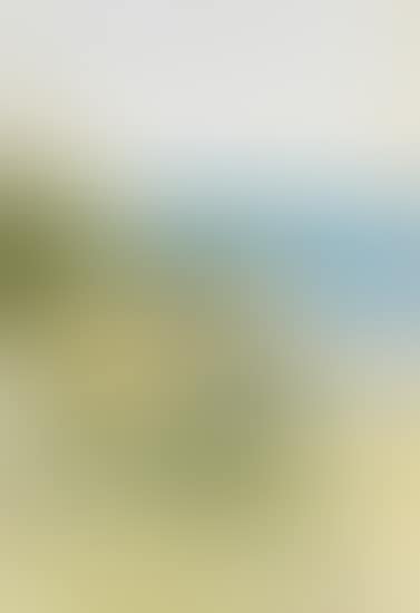 Coastal Landscape (preview)