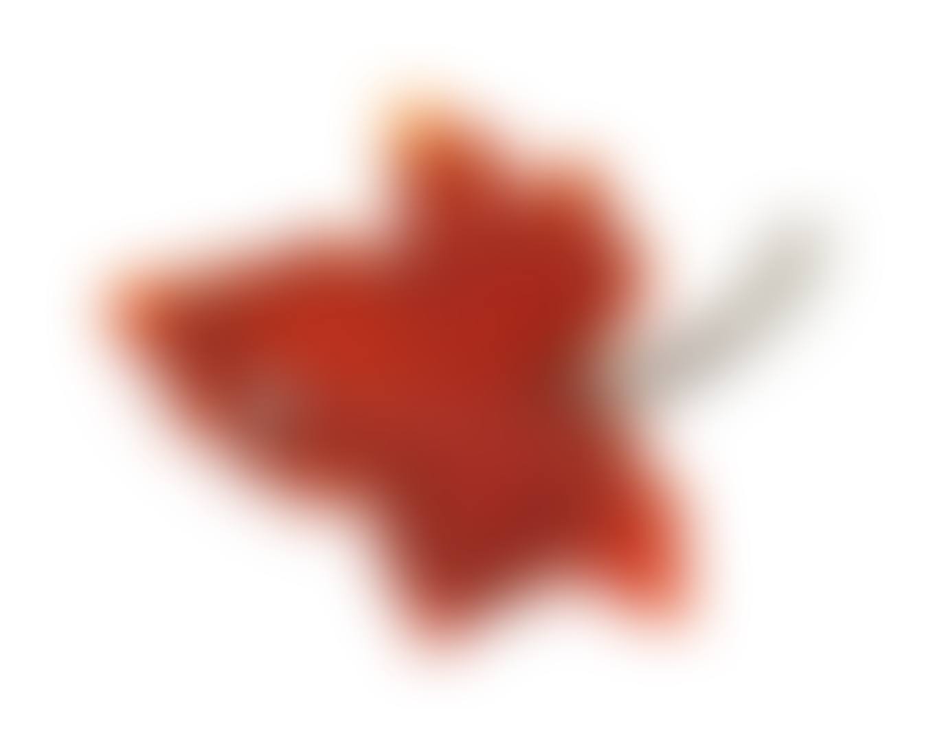 A 14 carat gold carnelian and diamond leaf brooch (preview)