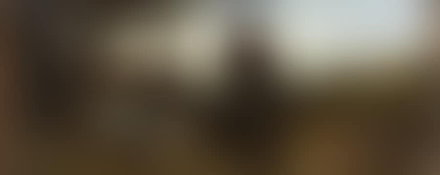 Scene from the life of Saint Francis of Assisi (preview)