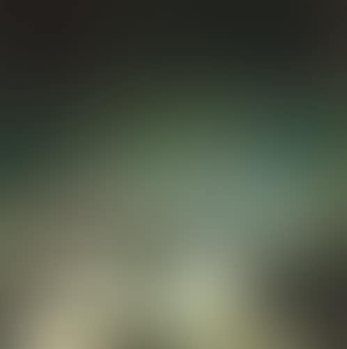 Meer (preview)