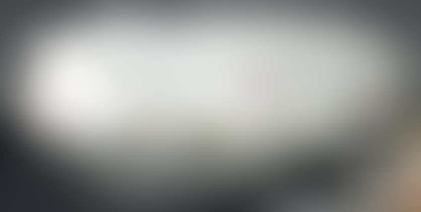 Small shell-shaped compotier (preview)