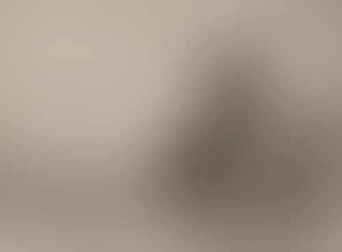 Rotterdam (preview)