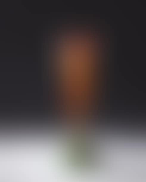 Baluster vase (preview)