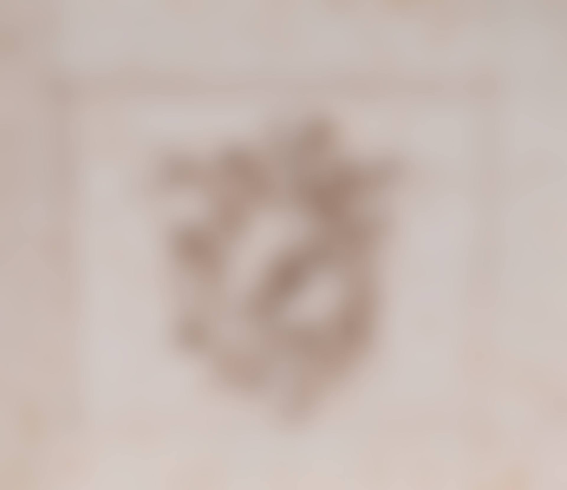 Study of a trophy (preview)