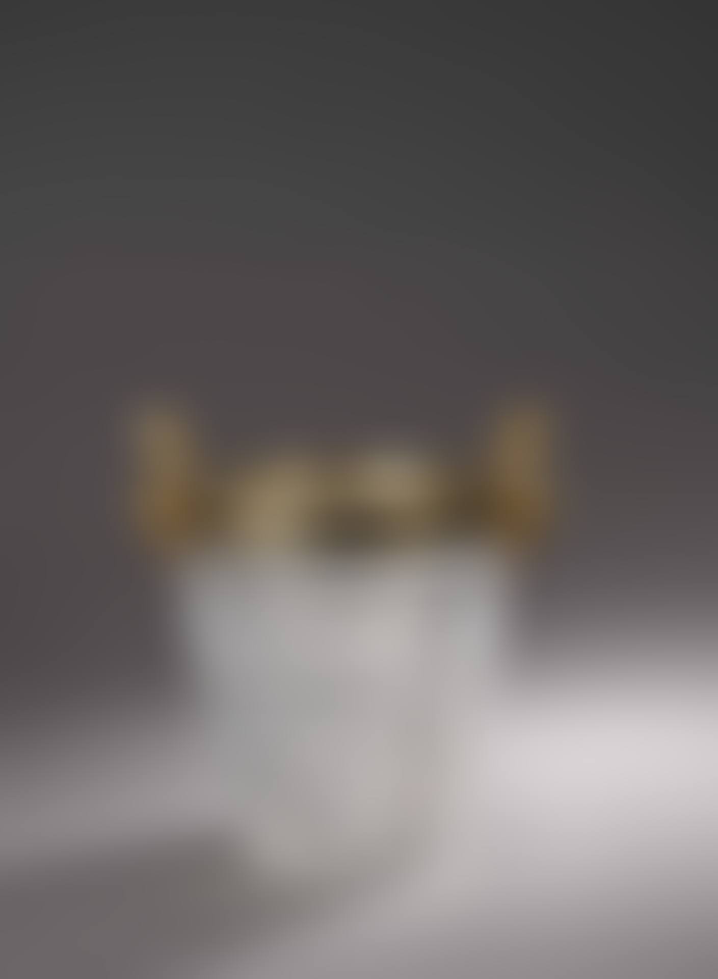 Ice bucket (preview)
