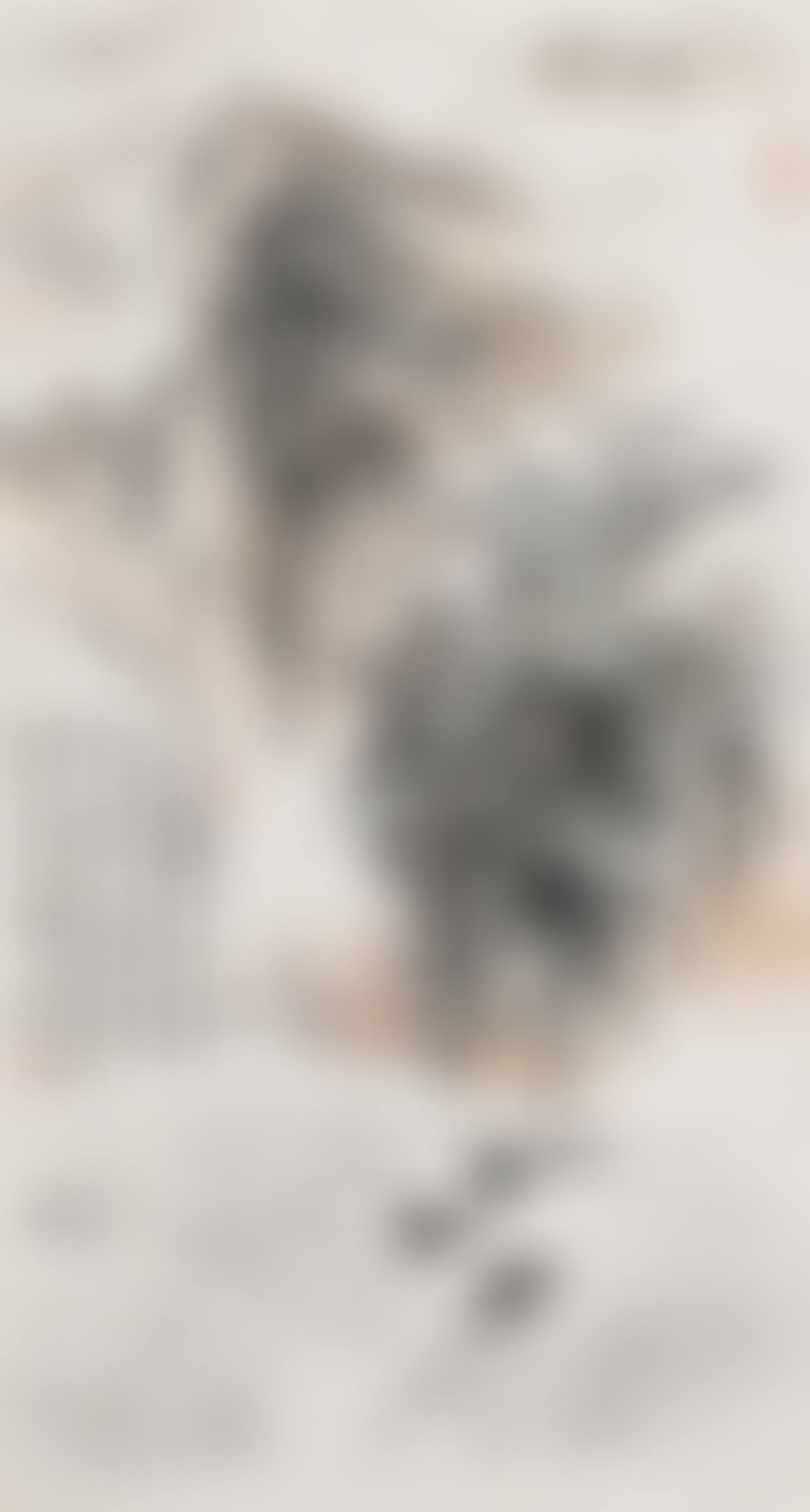 LANDSCAPE (preview)