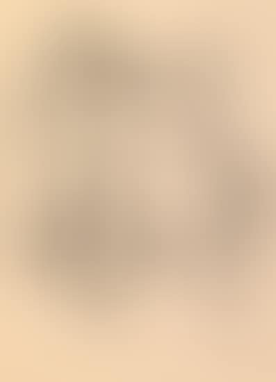 Two Female Nudes (preview)