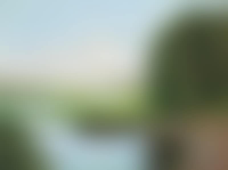 Stream flowing through meadows (preview)